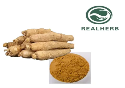 Extracto de ginseng americano